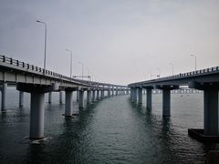 -星海湾跨海大桥