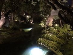 -Chom Cafe and Restaurant