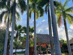 -河源御临门度假村温泉