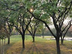 -宿迁学院