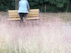 -苏州河梦清园环保主题公园