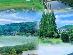 -老山国家森林公园