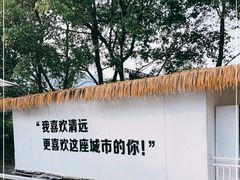-芭厘农庄老字号·清远鸡