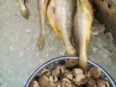 -马哥孛罗咖啡厅·Cafe Marco (厦门马哥孛罗东方大酒店)