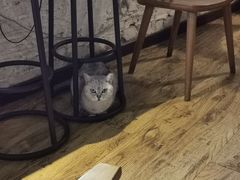-不舍昼夜咖啡馆