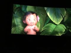 -武汉华夏国际影城(鲁广店)