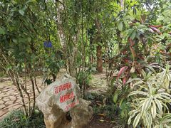 -中国科学院西双版纳热带植物园