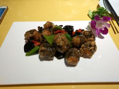 -素虎小呆鸟(西二旗店)