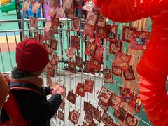 -华英星辰幼儿园(二马路分园)