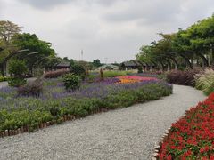 -映月湖公园