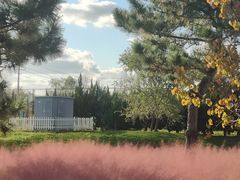 -羊亭河湿地公园