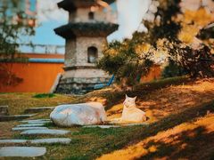-龙华寺