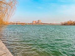 -济南大明湖景区