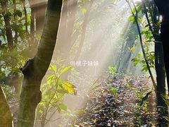 -桃花岛景观公园