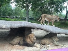 -北京野生动物园