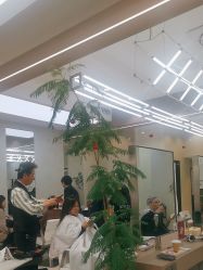 -BENSON造型