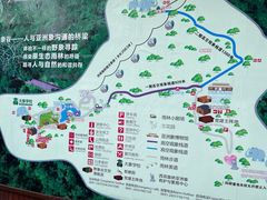 -野象谷景区