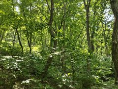 -北京上方山国家森林公园