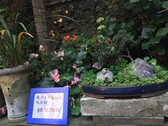 恺庐-恺庐茶园(宽窄巷子景区店)