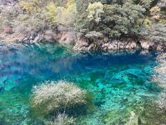 -叠溪松坪沟景区