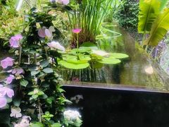 -肴约·花园式餐厅(湖里店)