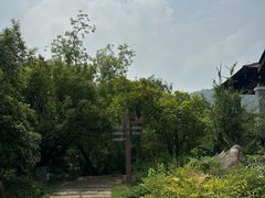-南京老山国家森林公园