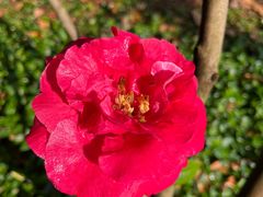 -昆明市金殿名胜区