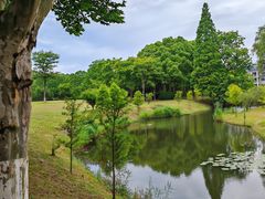 -宜兴龙背山森林公园