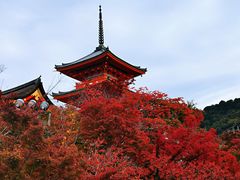 -Musashi回转寿司(京都站八条口店)