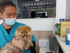-申普宠物医院·眼科·心内科·影像科(普陀分院)