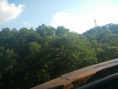 -金鸡山公园