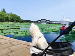 -锦溪古镇