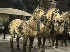 -秦始皇帝陵博物院-丽山园