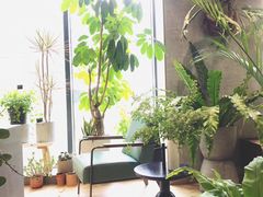 -山下C5cafe(惠通时代广场店)