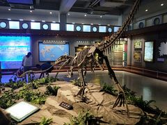-自贡恐龙博物馆