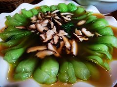 -玛禄藏膳(五分店)