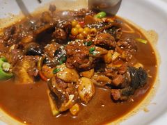 -甲鱼张甲鱼铺子(观沙岭店)