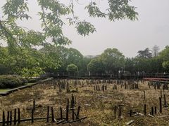 -河姆渡遗址博物馆