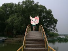 -东方巨龟苑景区