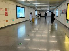 -大望路(地铁站)