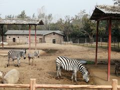 -西安秦岭野生动物园