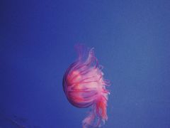 -常州海昌海洋探索馆
