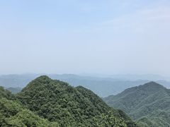 -栾川竹海野生动物园