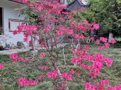 -幕燕滨江·燕子矶公园