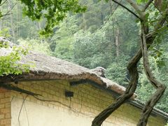 -韶山毛泽东同志故居