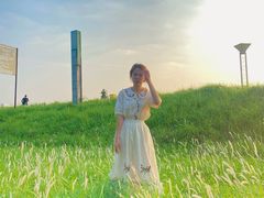 -王借岗森林公园