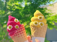 -石家庄万象城