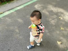 -合肥滨湖国家森林公园