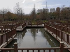 -五缘湾湿地公园
