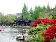 -红梅公园
